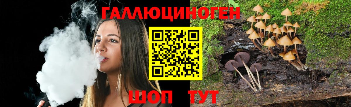 Галлюциногенные грибы Psilocybine cubensis Коломна